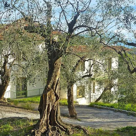 Borgo Verde Ili01374 Cyc Imperia